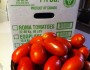 Using the Tomato Harvest: Salsa!